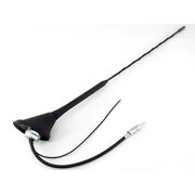 CAR ANTENNA universal with Amplifier IANA783.jpg