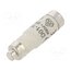 LE1416 Fuse: fuse; 16A; 400VAC; gG,time-lag; D01 MjJnBBAQ32JmDyloargptz_3CJyIP_2ImYassG4oJWY