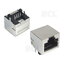 SOCKET 8P8C shielded, angle soldered CLI918EK.jpg