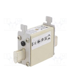 170M1563D Fuse: fuse; 40A; 690VAC; gR; industrial; NH000 emF_prm4pLJBY8uwJUHdJHrEWloOlbzsYWfjf_coQIs