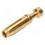09332006218 Contact; female; copper alloy; gold-plated; 1mm2; 18AWG; crimped aBotZUtUyKRQnDhypIUOXTV0WpmNGSw8kqcFUYRyERE