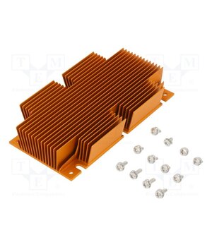 ATS-1111-C1-R0 Heatsink: extruded; grilled; BGA; golden; L: 117mm; W: 61mm; H: 22.9mm VNsIid0jrQn1fZ2zJC1VqixVfk3QZ3o7aCyYGxoOR_s
