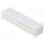 39-28-8240 Connector: wire-board; socket; male; PIN: 24; Mini-Fit Jr; straight PjDVBb70EIYgLRtnlamhch3V8_oE-3jOxBGp6WINQKc