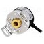 E40H12-2500-3-T-24 Encoder: incremental; Usup: 12÷24VDC; 2500imp/revol; IP50; 2m Xtc4EqaEwszmcnQUP8--TfVt-7_f0uebrZtMrBdh29A