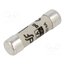 420500 Fuse: fuse; 500mA; 400VAC; gG; ceramic,cylindrical,industrial r1s75-P7rPB5DUFzpDBlITNKkzBrXg0onoF5k3ky5Jc