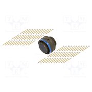 LJT06RT19-35S014 Connector: military; plug; female; PIN: 66; Series I LJT; straight Uew8eyGcV707nmNtFD9-cqLh48bEmnvu3HH-kAjBOnA