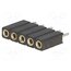 DS1002-03-1*5131 Connector: pin strips; socket; female; PIN: 5; straight; THT; 2.54mm bp05R94dx90tIuyQFUSOa-5WDPviY4UaFbo84Y8pjG4