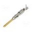 11243100 Contact; male; gold-plated; 0.14÷0.5mm2; bulk; crimped VGroRujVHqNS3hAjRANulEchn8zoUwrL33g3VYEvTJE