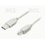 COMPUTER CABLE  USB 2.0 A(k)-B(k) 1.8-2m grey CKAK115_2P+1.jpg