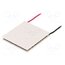 TEC1-12703 Module: Peltier; 15.4V; 3A; 40x40x4.7mm; 38W; Al2O3; 16AWG; 68°C WTG06P0x9lcZIwDXccOHAyatYKG9GprY9BzKH_Un9pc