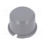 1D03 Button; round; grey; Ø9.6mm; plastic I57VkHuwJiYcWbGxRIAKAd2Amc8yrv5pTHBI6Cnxn_w