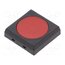 JF15SP2C Microswitch TACT; SPST-NO; Pos: 2; 0.05A/24VDC; 17.7x17.7x3mm Ok7DJ-PQp93R9X5iTYNmm4SP4eCgL0bJbQsrck3j8EU