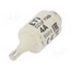 002312102 Fuse: fuse; 4A; 500VAC; 500VDC; quick blow; ceramic; DII; D aCqnqd-bT_FPboNa7i9BGnfXeLQ659q7LPRw60YSSTU