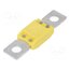 MEGAVAL 100A Fuse: fuse; 100A; 32VDC; automotive; 68.6mm 2C-Hwq2GJwYStYORgG93VnRU8Acp5M22zdPdDjCErA0