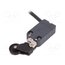 NF B110CV-DN2 Limit switch; lever R 42,1mm, plastic roller Ø22mm; NO + NC -MalYfc4VMc_npA2WEoypIQUvIaYj1bCgxOrmXcv4es