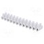 88718080 Connector: terminal block; 450V; screw terminal; Contacts: steel LHK9B7sowGlokJyF3FqhuYVSxjmHWaz5loyydTVf7PM