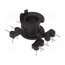 B65808E1508T001 Coil former: with pins; horizontal; PET; No.of term: 8 GyENzTfEOXHzQx_oFnQeDUya6aV0CHE5A5TugAaJAJQ