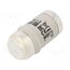 002213001 Fuse: fuse; 80A; 400VAC; 250VDC; gG; ceramic; D03; D0 ADyfpkI0l6Ls1M2U-a_Ee6iBbwj0u3GluQvwZZyfRkE