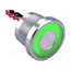 PS225P10Y01/G/12L Switch: piezoelectric; Pos: 2; SPST-NO; 0.2A/24VAC; 0.2A/24VDC 9yiiPZDAnqhteydHuO5VSpMuVpHK3pRtWaur04eWE30
