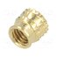 300113369 Threaded insert; brass; M5; BN 37885; L: 6.6mm; for plastic ErRhu5v7qcoxAx7uZ1mqWrvGS4uIWTEGMfqkC3RCKI8