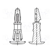 8G820V40620 Assembly stud; polyamide; L: 7.9mm; latch/latch; Ø2: 4.75mm 2NE-gVAbzKexdPJ0OvpjGY0db_8Qw9mZoeAxTT4DvOo