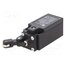 LK\227 Limit switch; angled lever with roller; NO + NC; 5A; max.250VAC 2sZWibiV6TK6MF658cth3If-NKJDG71WSKKizAZuwHk