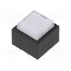 KLS22F036AQ Switch: push-button; Pos: 2; DPDT; 0.5A/25VDC; ON-(ON); red; THT SXAMQTZepD9jsMeb6c-KUmu60oTygHMAJDDxsR-YxM0