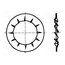 1254200 Washer; internally serrated; M2,5; D=5.5mm; h=0.4mm; DIN 6798J UK9fm5WGuc_j4qu2VUW97la6HwZpWCZKPr52DaUTLxc