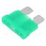0287030.L Fuse: fuse; 30A; 32VDC; automotive; 19mm; push-in; ATOF; tin alloy nVZf6NFxgEJw5bvuBky51CxCVsI__d1-c3X1UrS-MRw