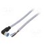YG8U14-050VA3XLEAX Cable: for sensors/automation; M8; PIN: 4; angled; 5m; plug; 60VDC e64u2_LDBgiO8bBGeY1msDU7pcA92Ttvwl4ZXGvW0CE