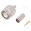 J01010L2255 Connector: TNC; plug; male; straight; 50Ω; crimped; for cable ZscztXKjtoyw1XNCzNANCydYLnkCFz59zMYg7I536ck