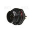 JUNGTIS WEIPU SP1312/P9, 9pin kištukas korpusui, 3A 125V, IP68 CJP_W13XXX+1.jpg