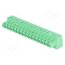 15EDGK-3.81-16P-14-00A(H) Connector: pluggable terminal block; plug; female; 7A; 250V; green SfV-pi0Vev2ERtro6tuqHF-FZWe6L5FexgcFcFklnS8