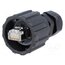 17-10001 Connector: RJ45; plug; PIN: 8; Cat: 5e; shielded; 8p8c; 4.83÷6.73mm 1FE0U1EjdKeKXCWD1rF2FzfiZ_k2C6F-vLLbN3qNKm0