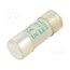 442232 Fuse: fuse; 32A; 690VAC; aM; ceramic,cylindrical,industrial bg9L5rkNu9Z9JUBE_WqSKAa47ay3cD0dX6sa_c65cbA