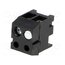 DG333K-3.5-02P-13-00AH Connector: pluggable terminal block; terminal block; female; 8A N7x8kn6nKPDXDsFPEQLw5YyM6xXFuP4ZlFafldZVSFY