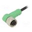 SAC-3P-1,5-PVC/M12FR Cable: for sensors/automation; M12; PIN: 3; angled; 1.5m; plug; 4A Ha3ToIb-mftu-ADMEJ8OUaAcVfO_SNNvqi4CMHZ2cSE