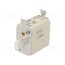 004114338 Fuse: fuse; 80A; 500VAC; quick blow; ceramic,industrial; NH00 fbO0lpUzX-0G_UxHBRreBlT301TeQtP1Q_QESWQtNPE
