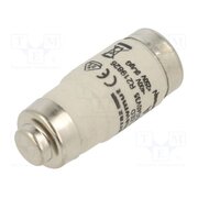 D02GG40V35 Fuse: fuse; 35A; 400VAC; 250VDC; gG; industrial; D02 13qSM73jkhBSYNncKD-wTQe2KxIdv_tg9QvuVgzBeuA