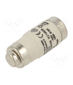 D02GG40V35 Fuse: fuse; 35A; 400VAC; 250VDC; gG; industrial; D02 13qSM73jkhBSYNncKD-wTQe2KxIdv_tg9QvuVgzBeuA