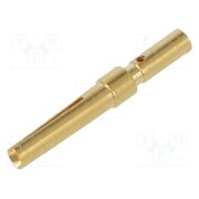 1599600 Contact; female; 1mm; gold-plated; 0.14÷0.56mm2; crimped AhQ6aIEAXU0LvCzKbUt85Mxo4_e4C3QddxHzWL7uXHw