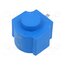 BN024DS Accessories: solenoid coil; 24VDC; IP00; -40÷50°C; 20W u9EIotyNGCI9Kn6HeqdxbxsMxoBozSYdM6E5-uMn8zo