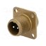 97-3102A-10SL-4P Connector: circular; socket; PIN: 2; male; soldering; 97; 13A; 500VAC Jsb2MRLtwf_2O3SptLC4VRG4wjEFxFzyiL-DEuu41pA