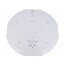CLE 315MM 4000LM 830 ADV5 EM Circular LED module; CRImin: 80; 3917lm; 3000K; 600mA; 182lm/W 8WA3dL5UXrLoeIo0M3O8BhaihStiuRsu3ThbD8kvzKM