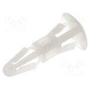 RS8 Assembly stud; polyamide; L: 8mm; snap fastener; natural; UL94V-2 SQ21r6msR5pi7GhSyshp-2qO4hmDA8vvwCDy4EFNGgA