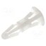 RS8 Assembly stud; polyamide; L: 8mm; snap fastener; natural; UL94V-2 SQ21r6msR5pi7GhSyshp-2qO4hmDA8vvwCDy4EFNGgA