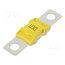 153.5395.6101 Fuse: fuse; 100A; 32VDC; automotive; 67.3mm; M8 screw; BF2; copper UYBV07kw2E-Tl4ejoYaBQcM9SNO9CngB9oGFn9QtIXQ