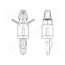 8G813V40357 PCB distance; polyamide; L: 28.6mm; snap fastener; natural Y12IX67RPUGuU52nmzJV_FXDjT78ZHsTHd_dO3NqHQw