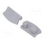 PA-ZASGLAXMNK-00 Cap for LED profiles; silver; 10pcs. E05DwDwF0xijGuwDOgZymUOTbVzAholGcwjFM9ecnKE