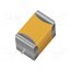 F950J107MAAAQ2 Capacitor: tantalum; 100uF; 6.3VDC; SMD; A; 1206; ±20%; -55÷125°C FHU0SFjZiycAUPf9q26RcHxL5MuHNIj9r9DJZ43fDIY